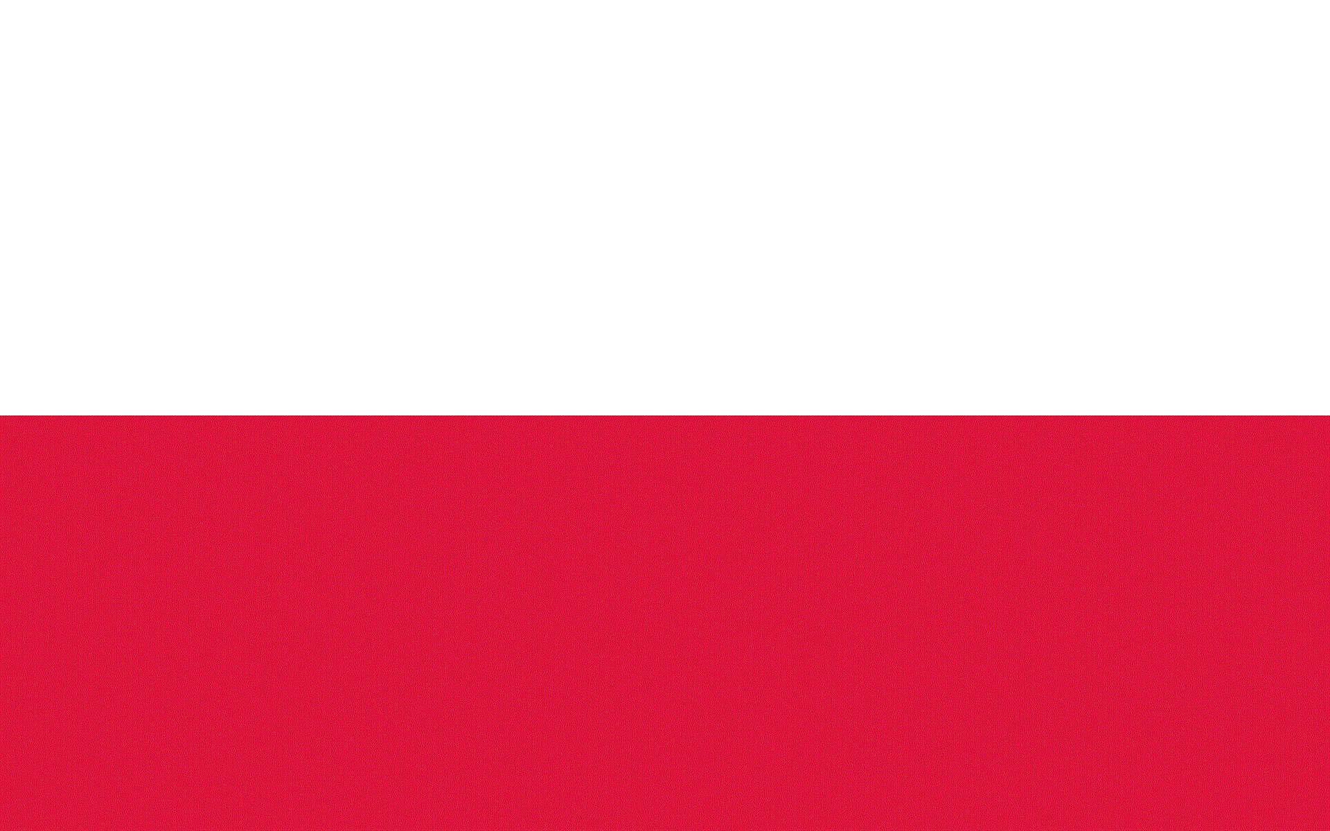  Stainless Steel Shim Supplier and Stockist in Poland