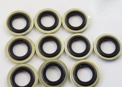 Bonded Sealing Washer